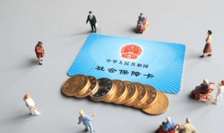 个人查询社保怎么查询（个人查询社保怎么查询总金额）