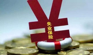 领了失业金和失业补助金的区别（失业保险金领跟失业补助金）