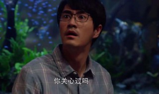 三十而已钟晓芹为什么离婚 三十而已钟晓芹为什么离婚呢