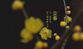 立春节气推荐语（立春节气推荐语怎么写）