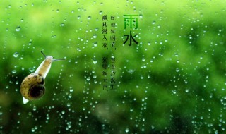 雨水节气推荐语 雨水节气语句