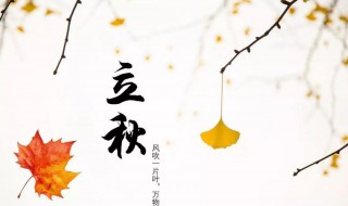 立秋节气文案 立秋节气文案 2023年立秋节气文案短句干净