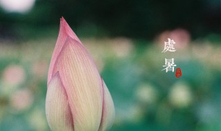 处暑节气祝福语（处暑节气祝福语打在屏幕上）