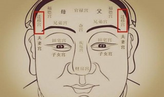 驿马骨在什么地方 驿马骨位置图