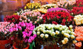 开鲜花店要具备哪些条件 开鲜花店需要做什么准备