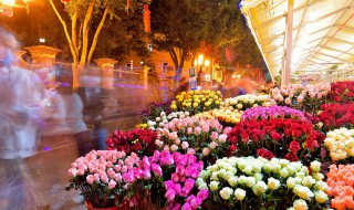 春天开的花有哪些（春天开的花有哪些?(花名、颜色）