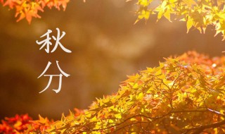 关于秋分节气的知识（关于秋分节气的介绍）