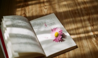 励志的小故事大道理 励志的小故事大道理50字