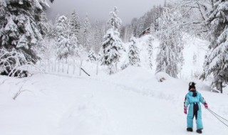 自由式滑雪大跳台世界杯 自由式滑雪大跳台世界杯美国斯廷博特站的比赛