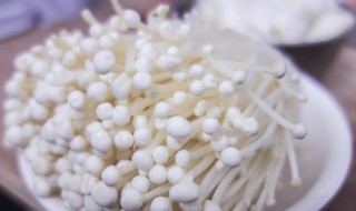 金针菇汤的功效有什么 金针菇汤的功效有什么禁忌