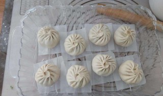 芸豆包子的家常做法 芸豆包子是炒一下还是焯一下好吃