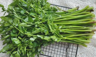 吃水芹菜有风险吗（吃水芹菜有什么坏处）