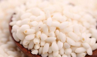 籼米的功效 籼米的功效是什么作用