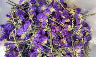 喝勿忘我花茶的好处有哪些 勿忘我花茶的副作用