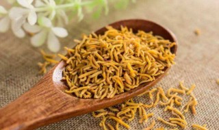 牡丹花花蕊茶的功效与禁忌（牡丹花蕊茶功效与作用官方文件）