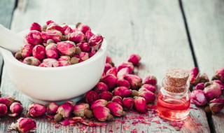 工艺花茶的功效与作用 工艺花茶的功效与作用及禁忌