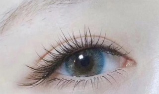 怎么养睫毛（怎么养睫毛长得快）