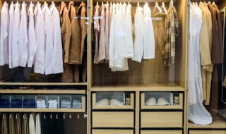 防蛀防霉片适合放卧室衣柜吗（防蛀防霉片适合放卧室衣柜吗视频）