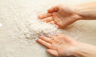 家里粮食生虫的飞蛾怎么杀死 家里粮食生小飞蛾怎样处理