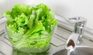 蒜蓉生菜的做法 蒜蓉生菜的做法大全