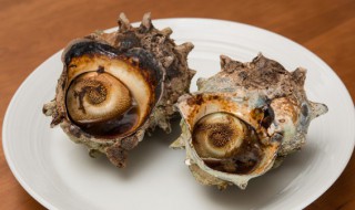 海螺肉的家常做法（冰冻海螺肉的做法大全）