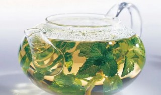 薄荷泡水可以放冰糖吗（薄荷泡水可以放冰糖吗为什么）