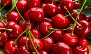 车厘子花束的寓意（车厘子花束的寓意和象征）