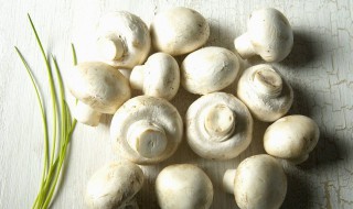 口蘑的杆子能吃吗 口蘑里面有一圈黑色要去掉吗