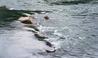 梦见河水很大很急流 梦见河水很大很急流预兆