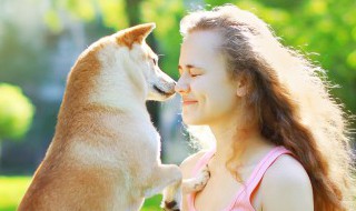 如何自己训练服务犬（服务犬训练机构）