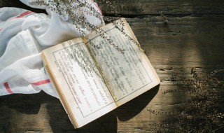 苏轼的代表作品 苏轼的代表作品有哪些