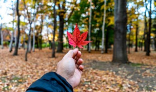 形容秋老虎炎热的诗句 形容秋老虎的天气