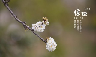 惊蛰会打雷下雨吗（惊蛰会打雷还是会下雨）