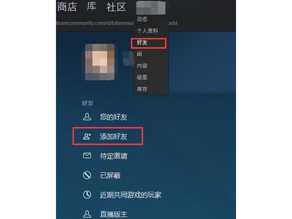 steam怎么加不了好友