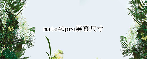mate40pro屏幕尺寸（华为mate40pro屏幕尺寸）