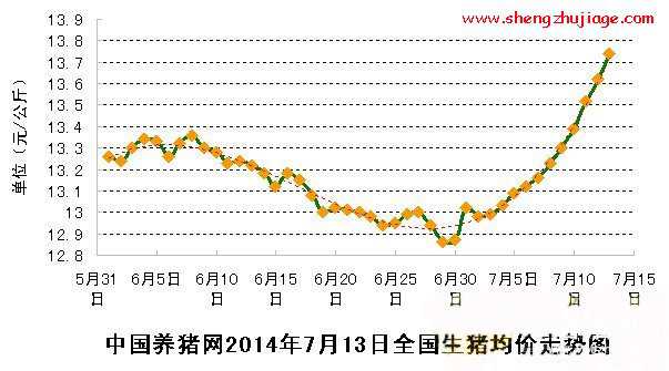 猪价难以实现大幅反弹 预计此轮上涨以缓慢上行为主