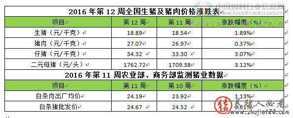 市场缺猪严重 猪价全年将总体高位