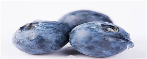 蓝莓适合什么土壤环境 蓝莓适合什么土壤环境种植
