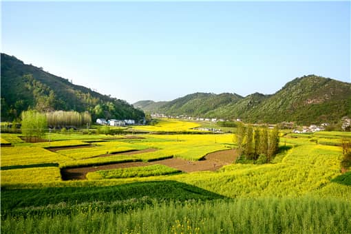 湖南将建立七级田长制