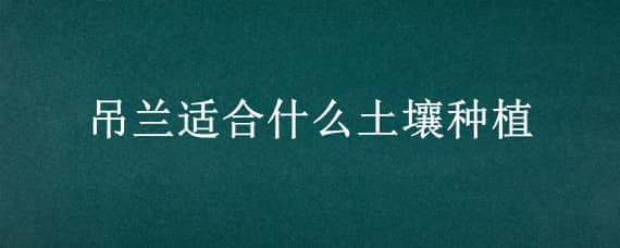 吊兰适合什么土壤种植（吊兰适合什么土壤生长）