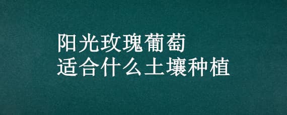 阳光玫瑰葡萄适合什么土壤种植（阳光玫瑰葡萄种植要求）