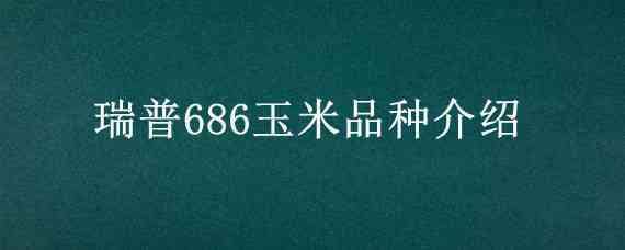 瑞普686玉米品种介绍 瑞普909玉米品种