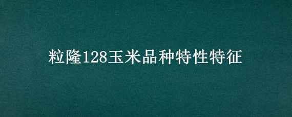 粒隆128玉米品种特性特征