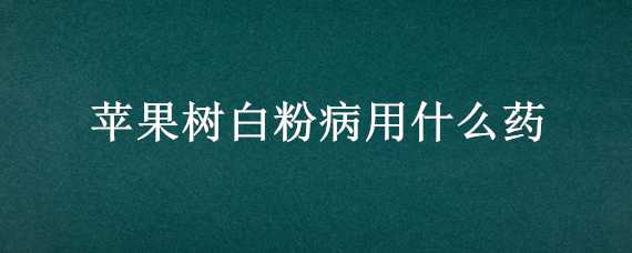 苹果树白粉病用什么药