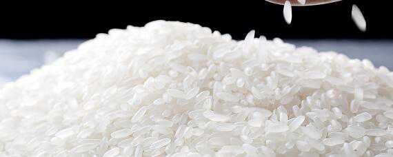 稻米品质指标有哪六个（稻米品质指标有哪六个方面）