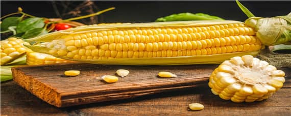 嫩玉米生长期多少天 嫩玉米生长期多少天可以吃