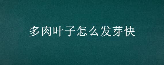 多肉叶子怎么发芽快（多肉叶子怎么发芽快点）