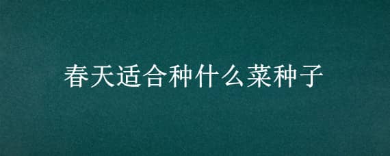 春天适合种什么菜种子 春天适合种什么蔬菜种子