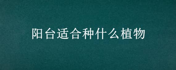 阳台适合种什么植物