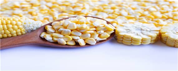 抗锈病的玉米品种有哪些 什么玉米种子抗锈病